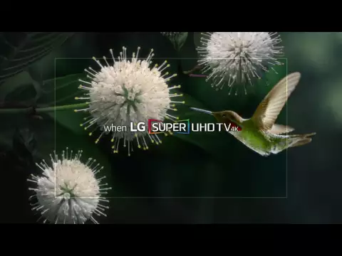 Video zu LG 65SJ8509