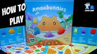 How to Play Amoebunnies