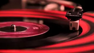 Red Hot Chili Peppers - Long Progression [Vinyl Playback Video]