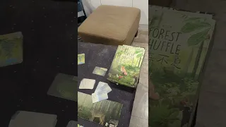 Forest Shuffle #boardgame #boardgamelife #森森不息