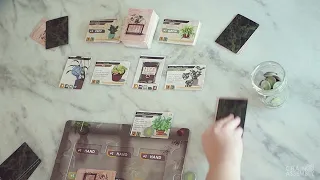 How to Play Propagation Station
