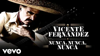 Vicente Fernández - Nunca, Nunca, Nunca (Versión Mariachi [Letra/Lyrics])