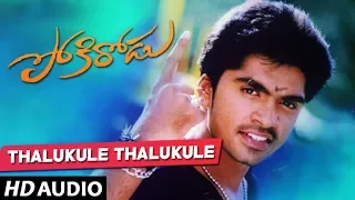Thalukule Thalukule Full Song - Pokirodu Telugu Movie  Simbu, Rakshitha