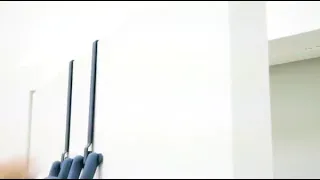 Umbra Buddy Over The Door Double Hook product video.