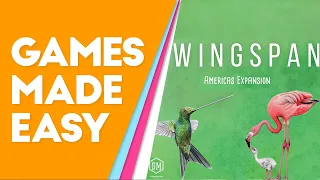 Wingspan Americas Expansion: Learn How to Play