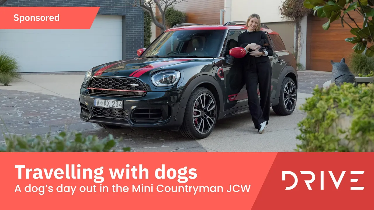 A Dog's Day Out! - Tips For Travelling With Your Dog In The Mini Countryman JCW | Drive.com.au