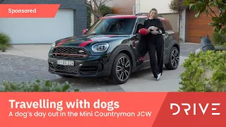 A Dog's Day Out! - Tips For Travelling With Your Dog In The Mini Countryman JCW | Drive.com.au