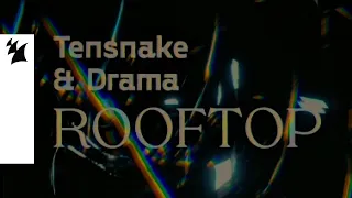 Tensnake & DRAMA - Rooftop (Official Music Video)