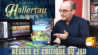 HALLERTAU: Règles et Critique du jeu