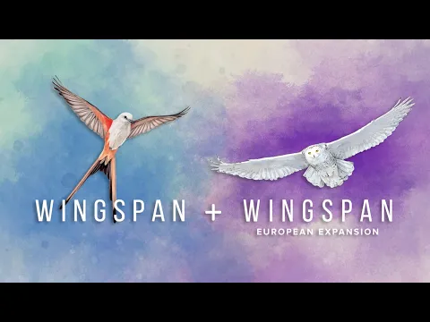 DGA Plays Digital Board Games: Wingspan w/ European Expansion