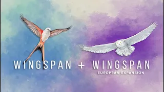 DGA Plays Digital Board Games: Wingspan w/ European Expansion