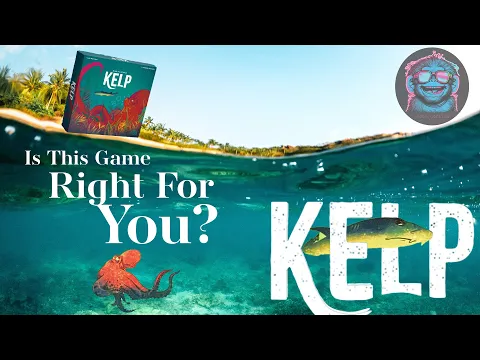 Kelp | 9 Questions To Ask Yourself Before Backing