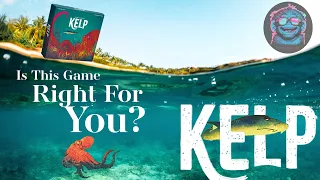 Kelp | 9 Questions To Ask Yourself Before Backing