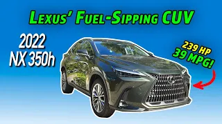 Lexus' 39 MPG Answer To The German Sports CUVs | 2022 Lexus NX 350h