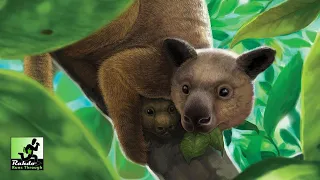 The Search for Lost Species | A Rahdo Preview by Ruel