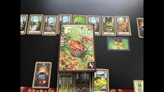 Fungi (German version of Morels) 2 player card game