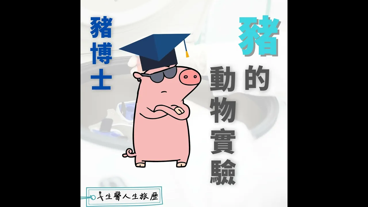 EP13－豬的動物實驗怎麼做？豬博士來聊醫材臨床前試驗
