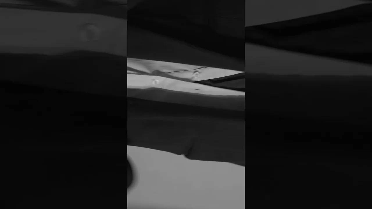 Video de Agostinelli