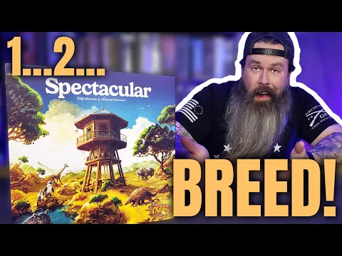 Spectacular Board Game Review - Tile and Dice Drafting Extraordinaire!