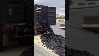 These plastic balls have literally saved lives! 😱😳 I 🎥: @cityofraleigh #plastic #balls #water