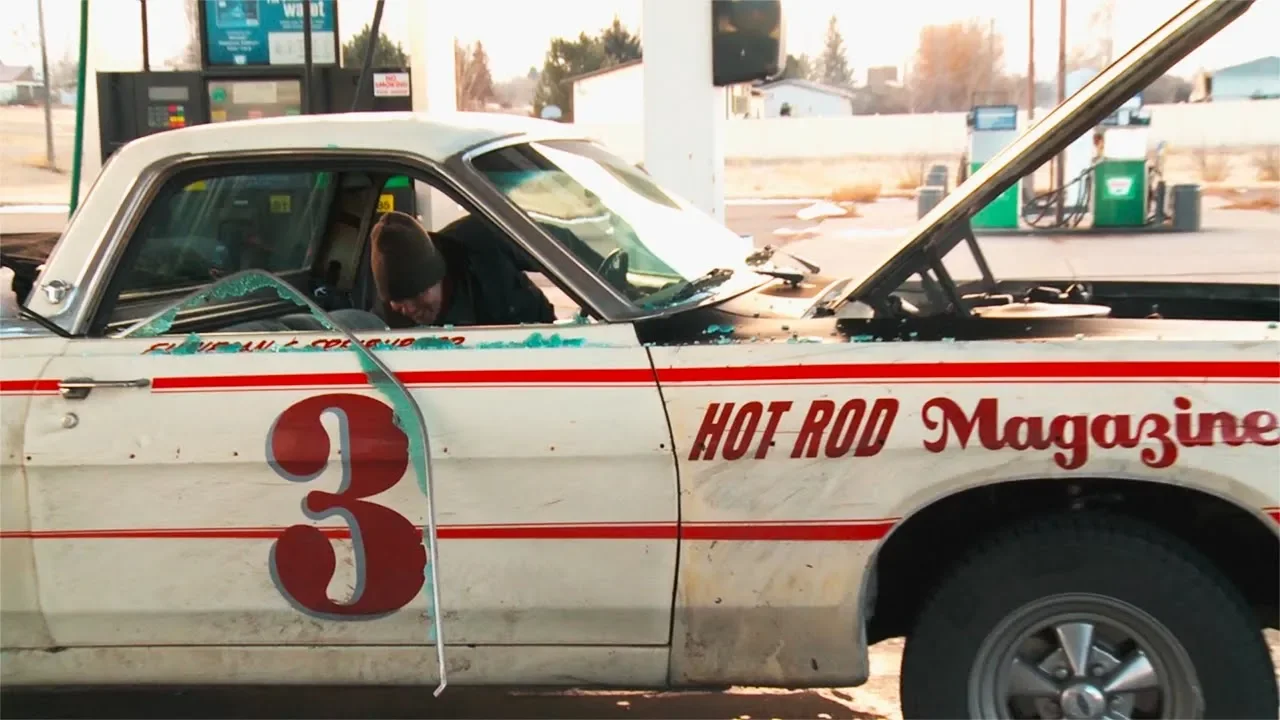 Great Roadkill Fails | Roadkill