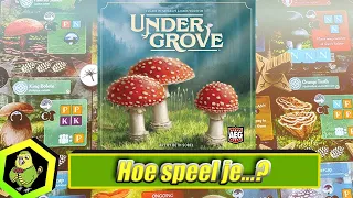 Hoe speel je Undergrove? (#559)