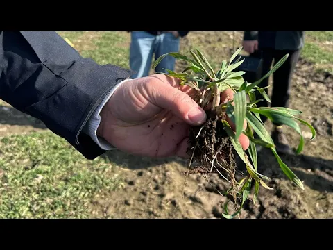 youtube-video-thumbnail