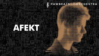 Pawbeats ft. Justyna Steczkowska - Afekt