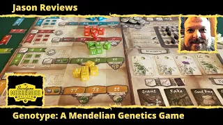Jason’s Board Game Diagnostics of Genotype: A Mendelian Genetics Game