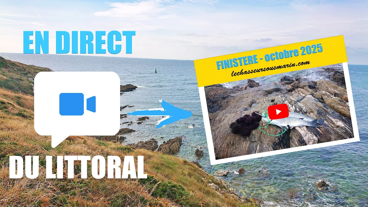 Vignette de la vidéo