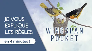 Je vous explique les règles complètes du jeu WINGSPAN POCKET en moins de 4 minutes!