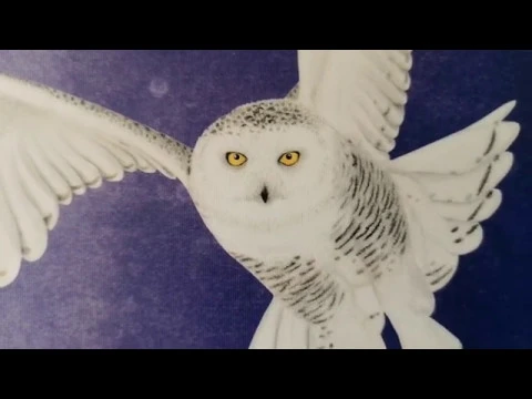Wingspan - European Birds