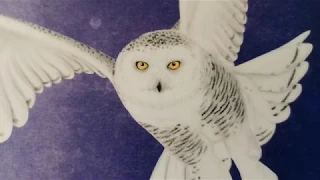 Wingspan - European Birds