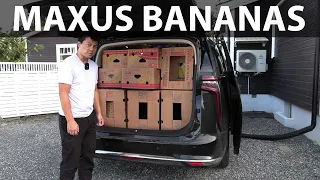 Maxus Mifa 9 banana box test