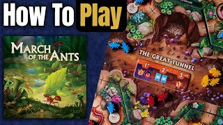 March of the Ants: Evolved Edition | How to Play | Learn to Play in 16 Minutes!