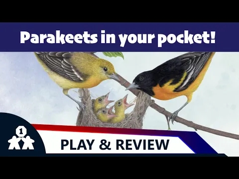 Wingspan Pocket solo play and review - One Stop Co-Op Shop
