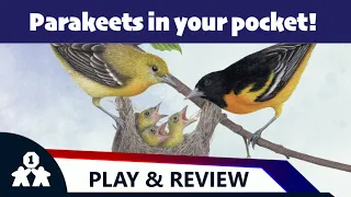 Wingspan Pocket solo play and review - One Stop Co-Op Shop