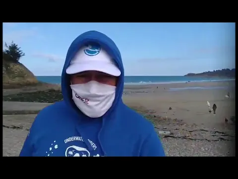 Vignette de la vidéo