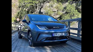 BYD Dolphin - Valuta for pengene