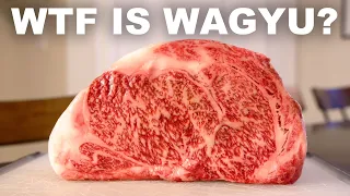 The history, science and taste of Wagyu beef The history, science and taste of Wagyu beef