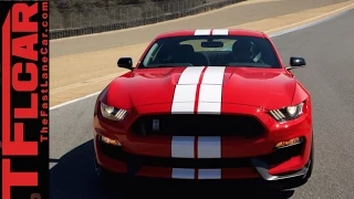 2016 Ford Mustang Shelby GT350 vs GT350R: Everything You Ever Wanted to Know