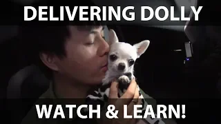 Suggested charging habits in winter