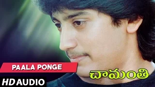 Chamanthi Songs - PAALA PONGE  -  Prashanth, Roja | Telugu Old Songs