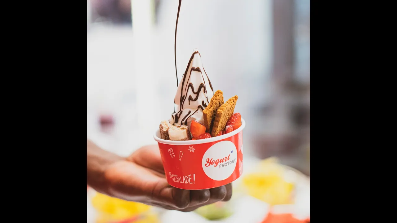 Le concept de la franchise YOGURT FACTORY