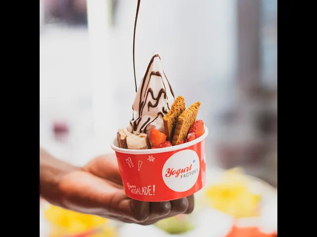 Le concept de la franchise YOGURT FACTORY