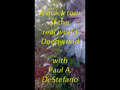Writer's FAQ: A Quick Tour of the Real World Deepwood