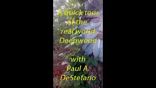 Writer's FAQ: A Quick Tour of the Real World Deepwood