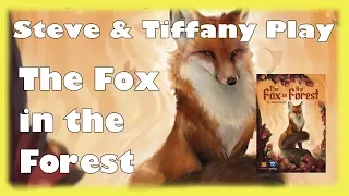 Steve & Tiffany Learn & Play: Fox in the Forest