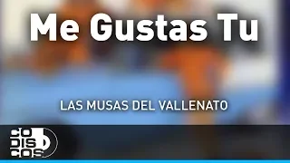 Me Gustas Tú, Las Musas Del Vallenato - Audio