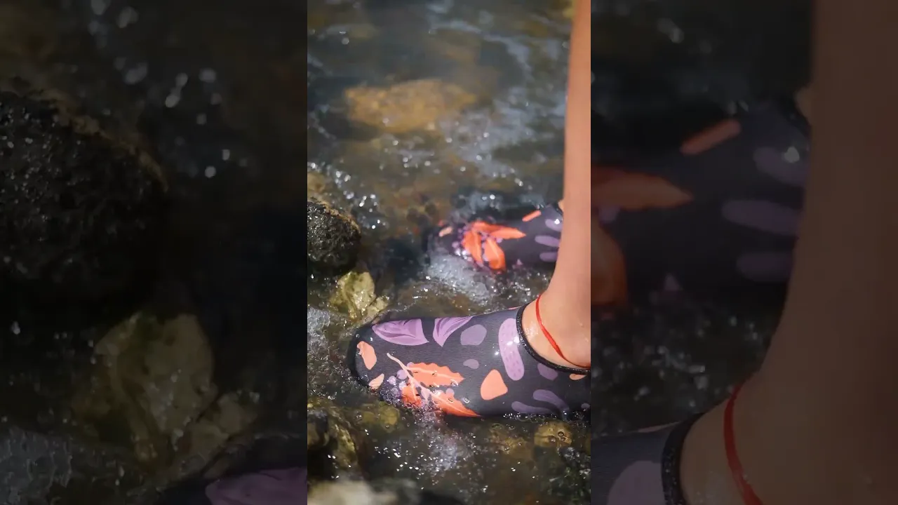 Video de Floripondias Mayorista